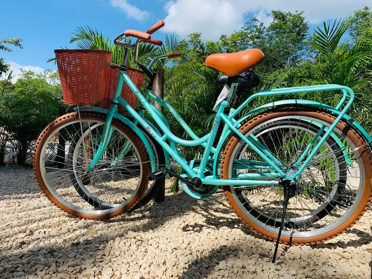 Vida Jungle Boho Apart 9 With Special Fee To Access Hotel Bardo Tulum Apartment