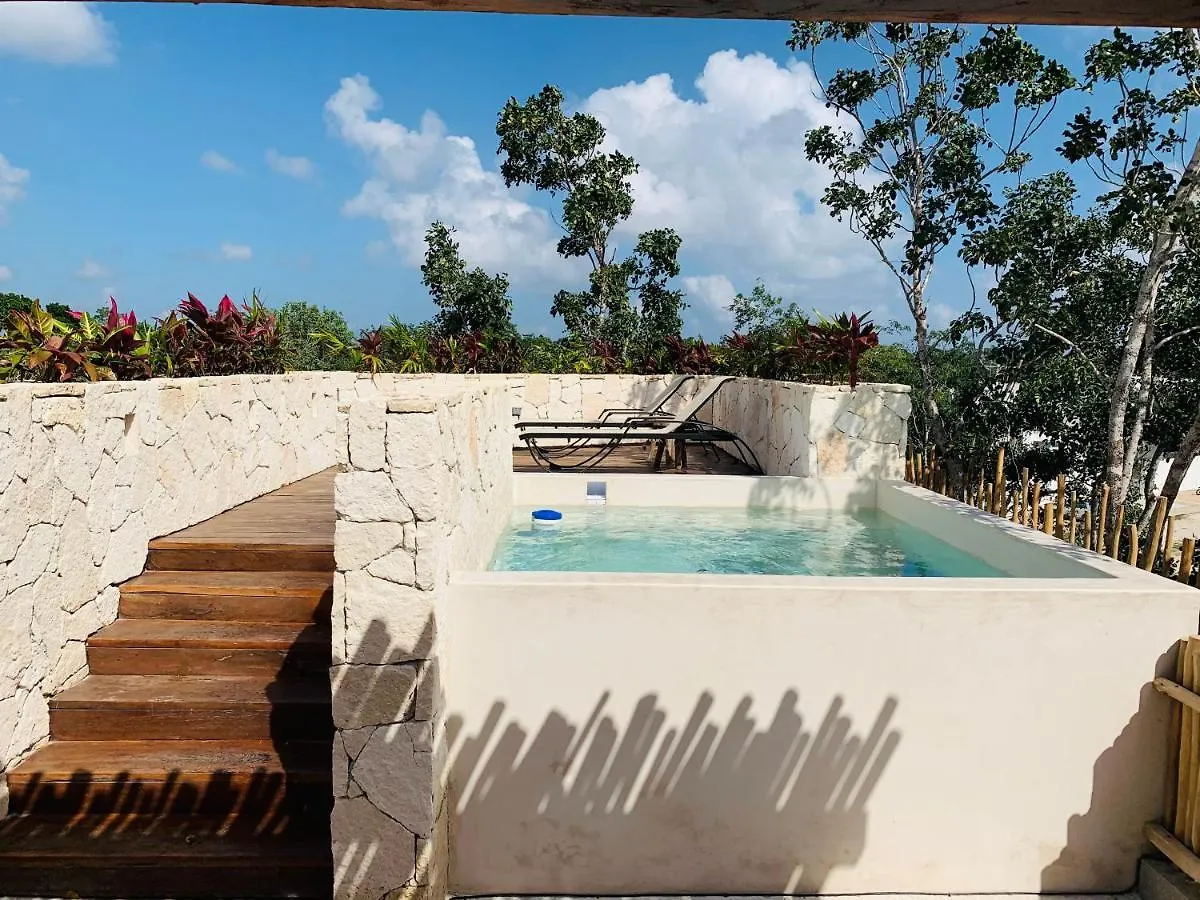 Vida Jungle Boho Apart 9 With Special Fee To Access Hotel Bardo Tulum 0*,  Mexico