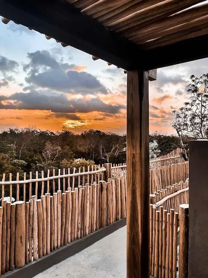 Vida Jungle Boho Apart 9 With Special Fee To Access Hotel Bardo Tulum Mexico